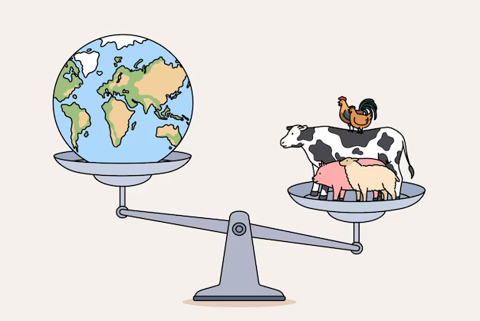 JuanPascual4's tweet photo. 2/ Durante demasiado tiempo nos han repetido mensajes diseñados para provocar culpa, no para informar.
🥩 "La carne mata."
🌍 "Una hamburguesa contamina más que tu coche."
🐄 "La ganadería destruye el planeta."
No son explicaciones.
Son eslóganes. Y en eso ha entrado el juez. https://t.co/kwLj7vVf4G
