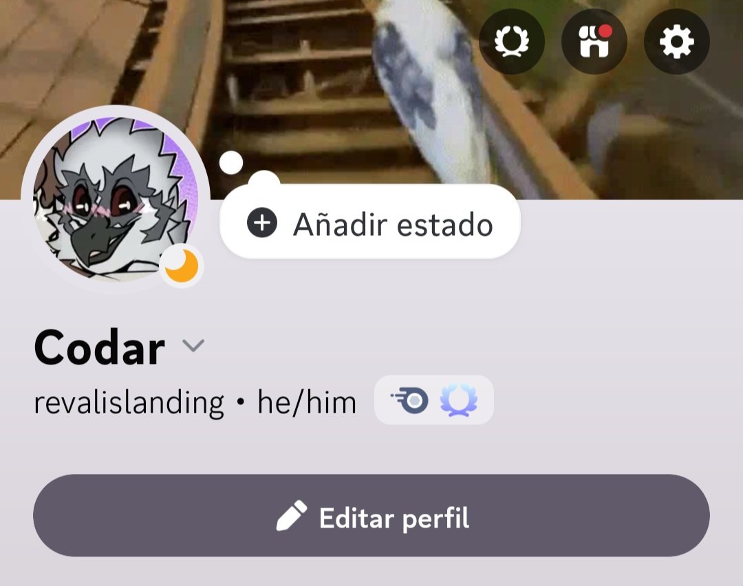 codar 🐦 tweet media