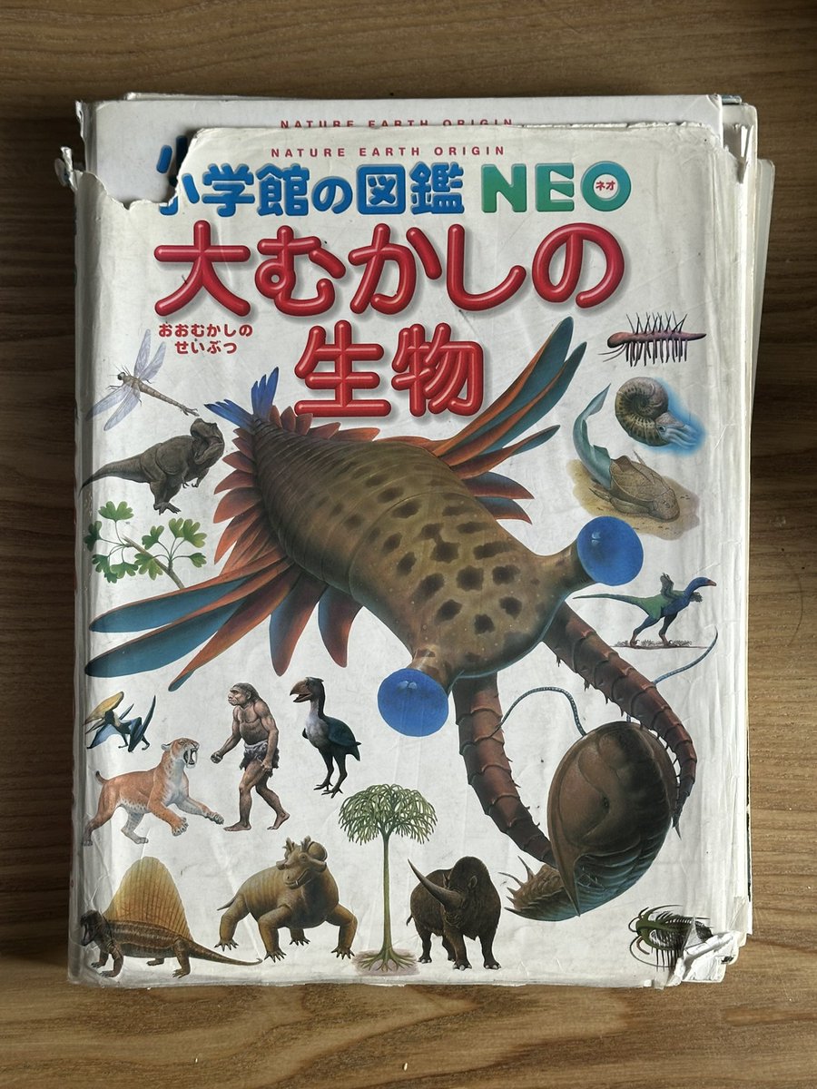 TUTU_Primeval's tweet photo. 『小学館の図鑑NEO』「大むかしの生物」感想ツリー（旧版と比較しながら読んでいきます） https://t.co/IWeTOZ4QOk