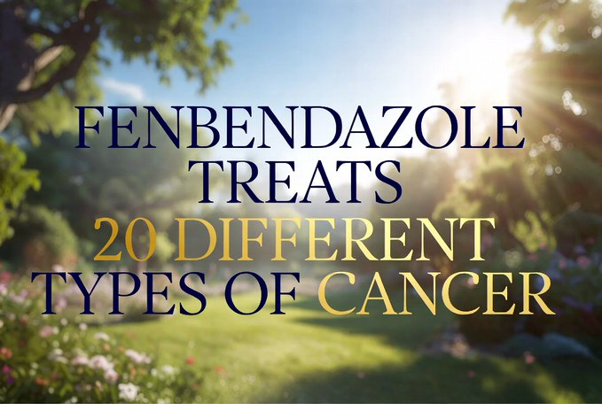 Ivermectinkart's tweet photo. SHOCKING TRUTH THEY DON’T WANT YOU TO KNOW

Fenbendazole — the cheap animal dewormer — has been proven to TREAT 20 DIFFERENT TYPES OF CANCER.

It’s not a conspiracy. It’s right there in black and white:

• Brain tumors (glioblastoma, astrocytoma, medulloblastoma)  
• Lung cancer  
• Breast cancer  
• Prostate cancer  
• Pancreatic cancer  
• Colorectal cancer  
• Ovarian cancer  
• Liver cancer  
• Bladder cancer  
• Kidney cancer  
• Esophageal cancer  
• Leukemia & myelofibrosis  
• Melanoma  
• Lymphomas  
• Sarcomas  
• And 12 more aggressive cancers…

✅ More than 15 scientific publications confirm it  
✅ Attacks cancer through at least 3 different pathways  
✅ Remarkably non-toxic with little to no side effects  
✅ Works alongside other treatments

So why is this not on the evening news?  
Why are millions still being poisoned with toxic chemo while this safe, dirt-cheap option sits on the shelf?

Because it can’t be patented.  
Because it would bankrupt Big Pharma’s multi-billion-dollar cancer industry.

This is criminal.

Your doctor won’t tell you.  
The media won’t report it.  
But the science is undeniable.

SAVE THIS POST. SHARE IT.
Someone you love could be alive tomorrow because of this.

Fenbendazole is treating 20 cancers RIGHT NOW — and they’re hoping you never find out.
