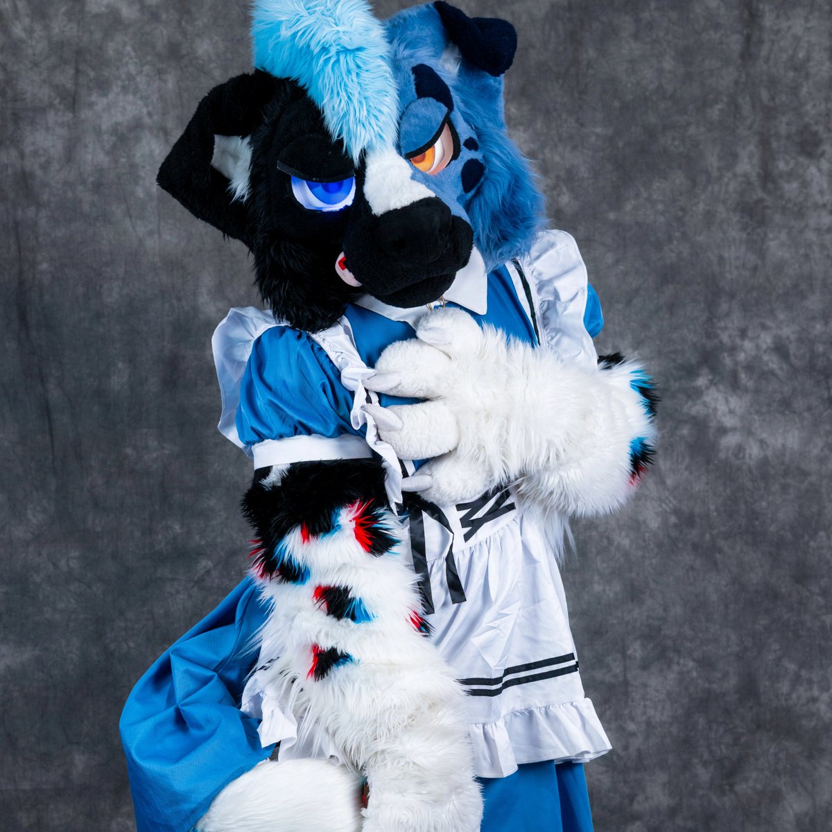 HerdingAD's tweet photo. So who wants a maid collie to do their bidding >;3
#furry #fursuit #mursuit #nsfw #yiff https://t.co/D5c3tV10nL