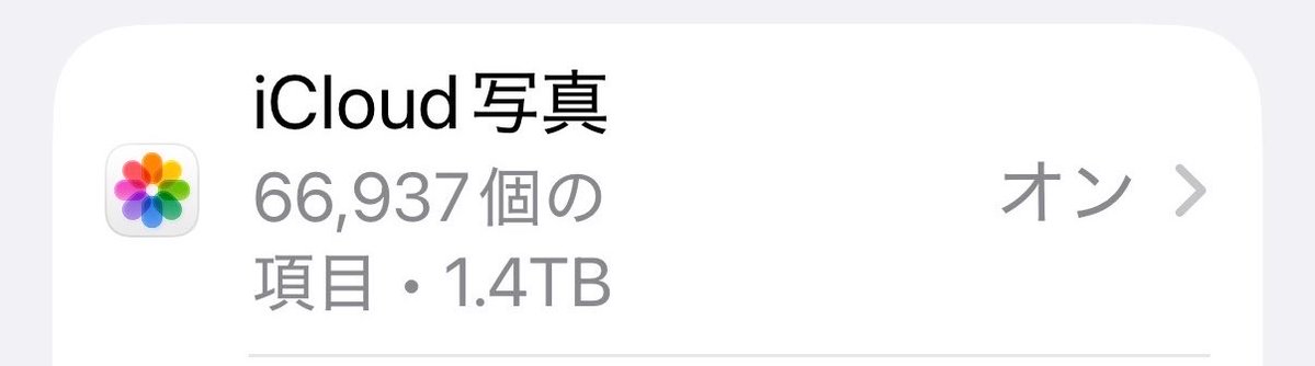 9割5分本田響矢です😂