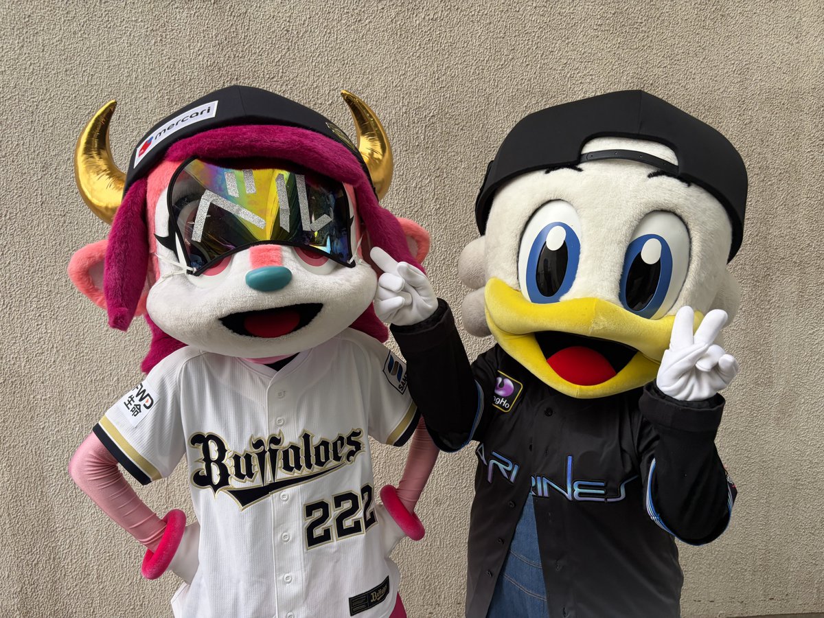chibalotte_mar's tweet photo. ベルちゃんまたにいがたでいっしょにあそぼうね  ズーちゃんより☆  #chibalotte #mar_kun #rine_chan #zu_chan https://t.co/bvc0QWfVYI