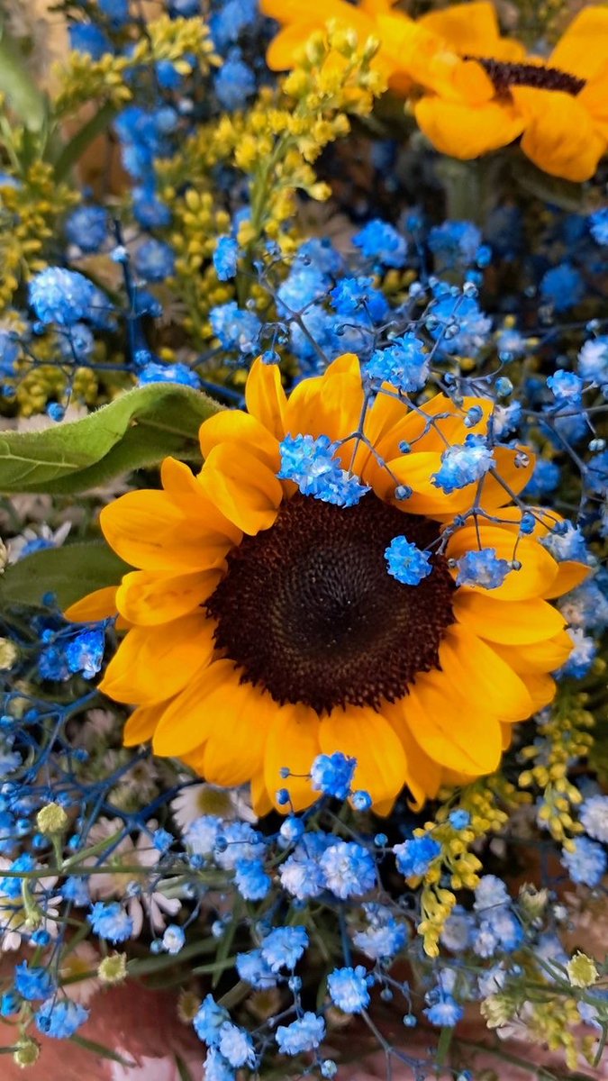 sunflowerchives tweet picture