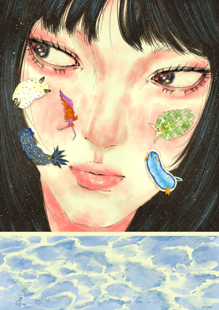 haranikala's tweet photo. nudibranchs 🫧🪸 https://t.co/BHYcqArQs7