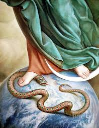 trad_west_'s tweet photo. Why is Mary always standing on a snake? Well, it’s a 6,000-year-old prophecy.

If you look at statues of the Immaculate Conception, Mary is almost always crushing a serpent under her heel. 

This isn't just an artistic choice, it is the fulfillment of the very first prophecy in the Bible (Genesis 3:15). 

After the Fall, God told the Serpent: "I will put enmity between you and the Woman, and between your offspring and hers; he will strike your head, and you will strike his heel."

The Immaculate Conception is the "Woman" created specifically to win the war that Eve lost. 

"St. Irenaeus puts it eloquently, “[Jesus’] obedience on the tree of the cross reversed the disobedience at the tree in Eden; the good news of the truth announced by an angel to Mary, a virgin subject to a husband, undid the evil lie that seduced Eve, a virgin espoused to a husband. As Eve was seduced by the word of an angel and so fled from God after disobeying his word, Mary in her turn was given the good news by the word of an angel, and bore God in obedience to his word.”

St. Alphonsus Liguori relates in his book The Glories of Mary.

Mary, then, was this great and valiant woman, who conquered the devil and crushed his head by bringing down his pride, as it was foretold by God Himself: “she shall crush thy head.” Some doubt as to whether these words refer to Mary, or whether they do not rather refer to Jesus Christ; for the Septuagint renders them, “He shall crush thy head.” But in the Vulgate … we find “SHE,” and not “He;” and thus it was understood by Saint Ambrose, Saint Jerome, Saint Augustine, and a great many others.

St. Alphonsus admits that, either way, it was through the victory won by Jesus.

However, be it as it may, it is certain that either the Son by means of the Mother, or the Mother by means of the Son, has overcome Lucifer; so that, as Saint Bernard remarks, this proud spirit, in spite of himself, was beaten down and trampled under foot by this most Blessed Virgin; so that, as a slave conquered in war, he is forced always to obey the commands of this Queen. Beaten down and trampled under the feet of Mary, he endures a wretched slavery."" - aleteia

She is the only human being the Devil could never touch.

The good news is that Satan, the “serpent,” has been defeated through the sacrifice of Jesus on the cross. Mary’s “Yes” made that possible, and through her free choice our Messiah came into the world.

Mary remains the “Terror of Demons,” and it is no surprise that demons often flee at the name of Mary, fearful of the woman who reversed the disobedience of Eve.