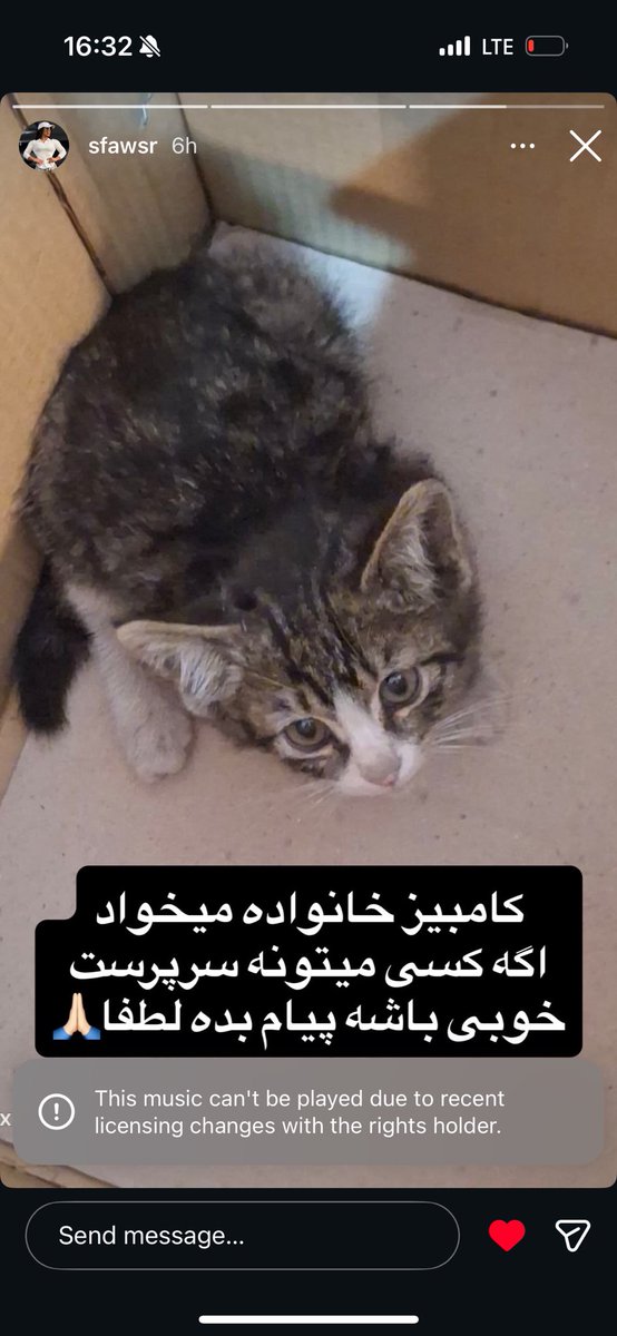 riraisheree's tweet photo. سلام لطفا لطفا دست یاریتون رو به سمت کامبیز دراز کنید و این بچرو به سرپرستی بگیرید😭 https://t.co/sKLDELDtBD