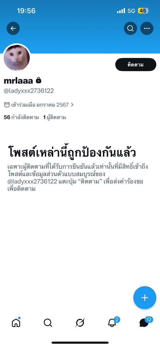 Alie_ official tweet media