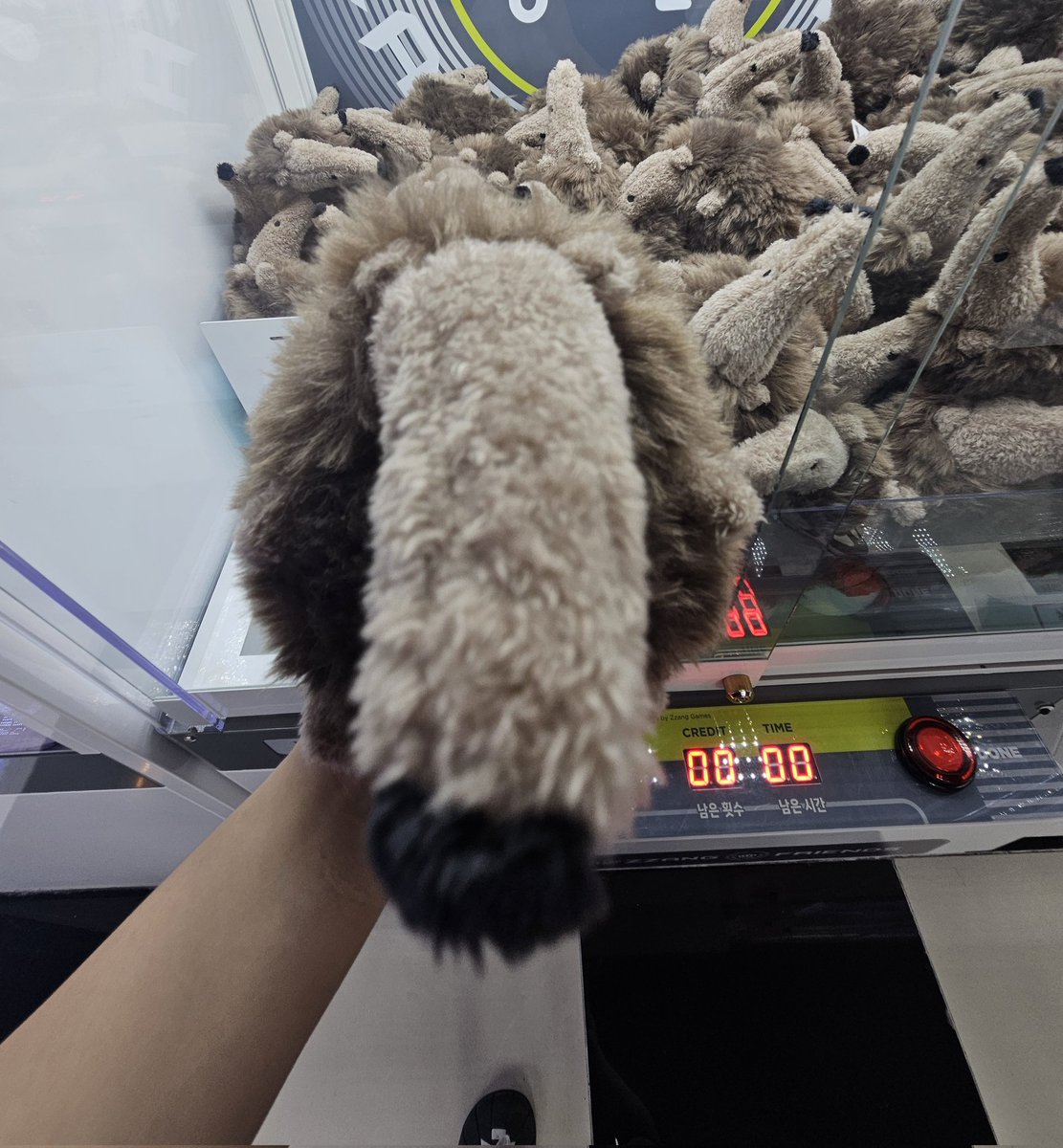 ondaeonda's tweet photo. 여친이 낸 돈으로 내가 뽑기
이천원에 뽑기 성공 !!!!
심지어 인형들 사이에 박혀있엇는데 https://t.co/s1Od5COge9