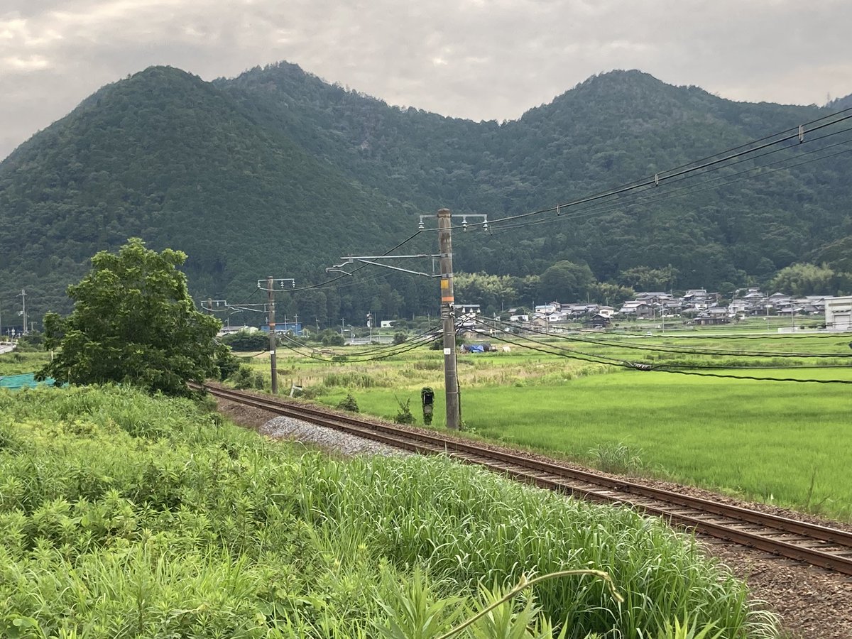 san_da3_0's tweet photo. ちなみに下り側の撮影地は草ボーボーで線路脇に大きな木が生えて撮影不能になってました… https://t.co/317w5IpMFL
