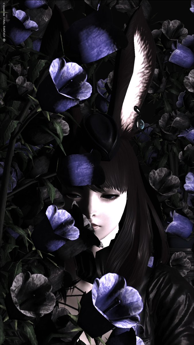 GI_UIcrzeta's tweet photo. 「誠実な花に、嘘をつく」
▷St. #Studio_Lolo
#FF14SS #ヴィエラ https://t.co/KFU4irdBRC