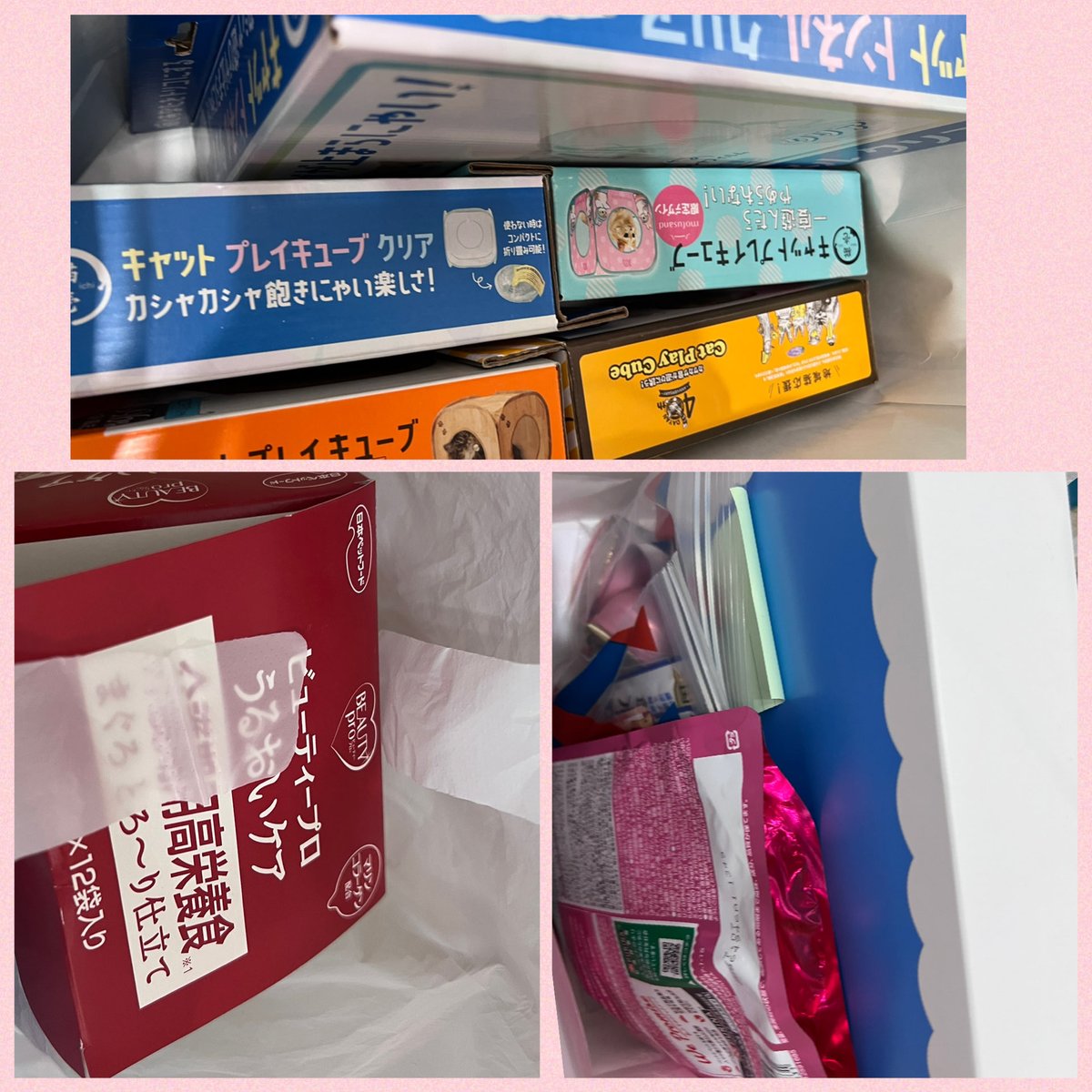 shosukereiko's tweet photo. 本日の保護猫譲渡会、暑い中お越し下さりありがとうございました！
参加したにゃんこ、沢山内定しています。

ご支援
リリちゃん里親様
クック＆イブ里親様
ボス、アポロ、あやめちゃん里親様
さくらちゃん里親様
ご寄付もありがとうございます。

＃保護猫譲渡会@亀有 https://t.co/nYL7bVOpXF
