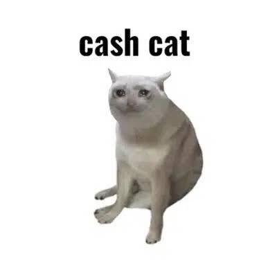 CashCat tweet media