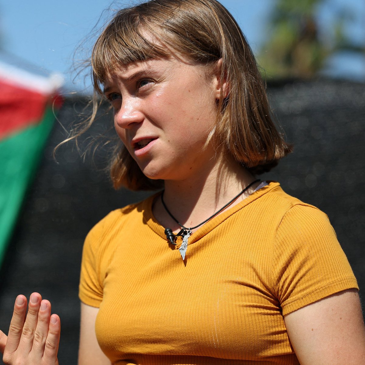 SaraReyi's tweet photo. Never forget when lindsey graham  has called for Greta Thunberg to be killed simply because she tried to feed the Palestinian children in Gaza https://t.co/yr4WT8hT52