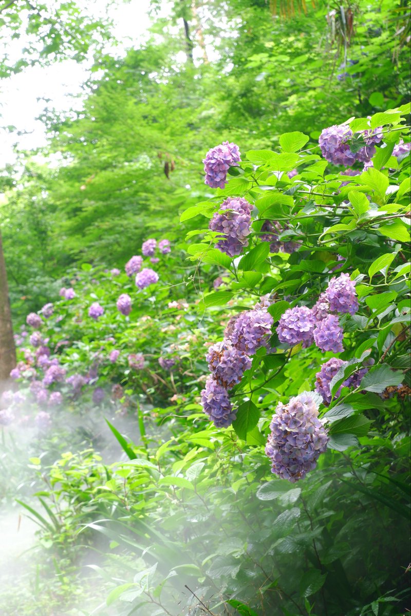 VRN_VRN's tweet photo. 休日の映え活📷
その１ https://t.co/5dIptoSA3V