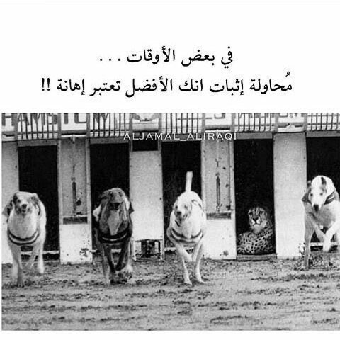 Soldarik's tweet photo. @EEE111one @Sh_n89_7 يعني جاييين يسولفون بشي انا مختص فيه والملعب ملعبي https://t.co/verWe97zcu