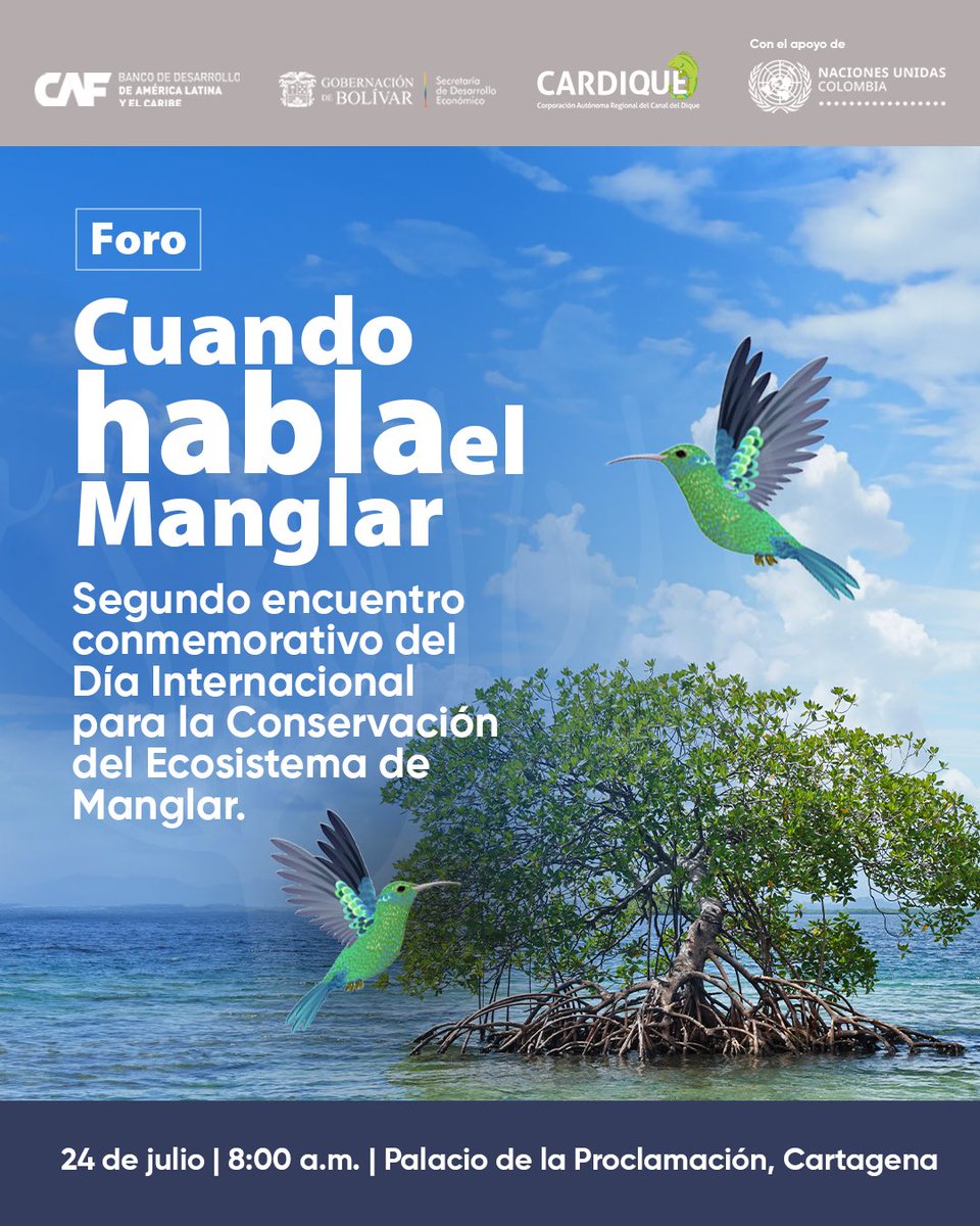 GobDeBolivar's tweet photo. 🌿 ¡Cuando habla el manglar, todos tenemos algo que escuchar!

📅 23 y 24 de julio
📍 Cartagena

🌱 Recorrido guiado
🎤 Foro
🤝 Rueda de negocios y showroom

Súmate al Segundo Encuentro Conmemorativo del Día Internacional para la Conservación del Ecosistema de Manglar. https://t.co/c7QIkovg88