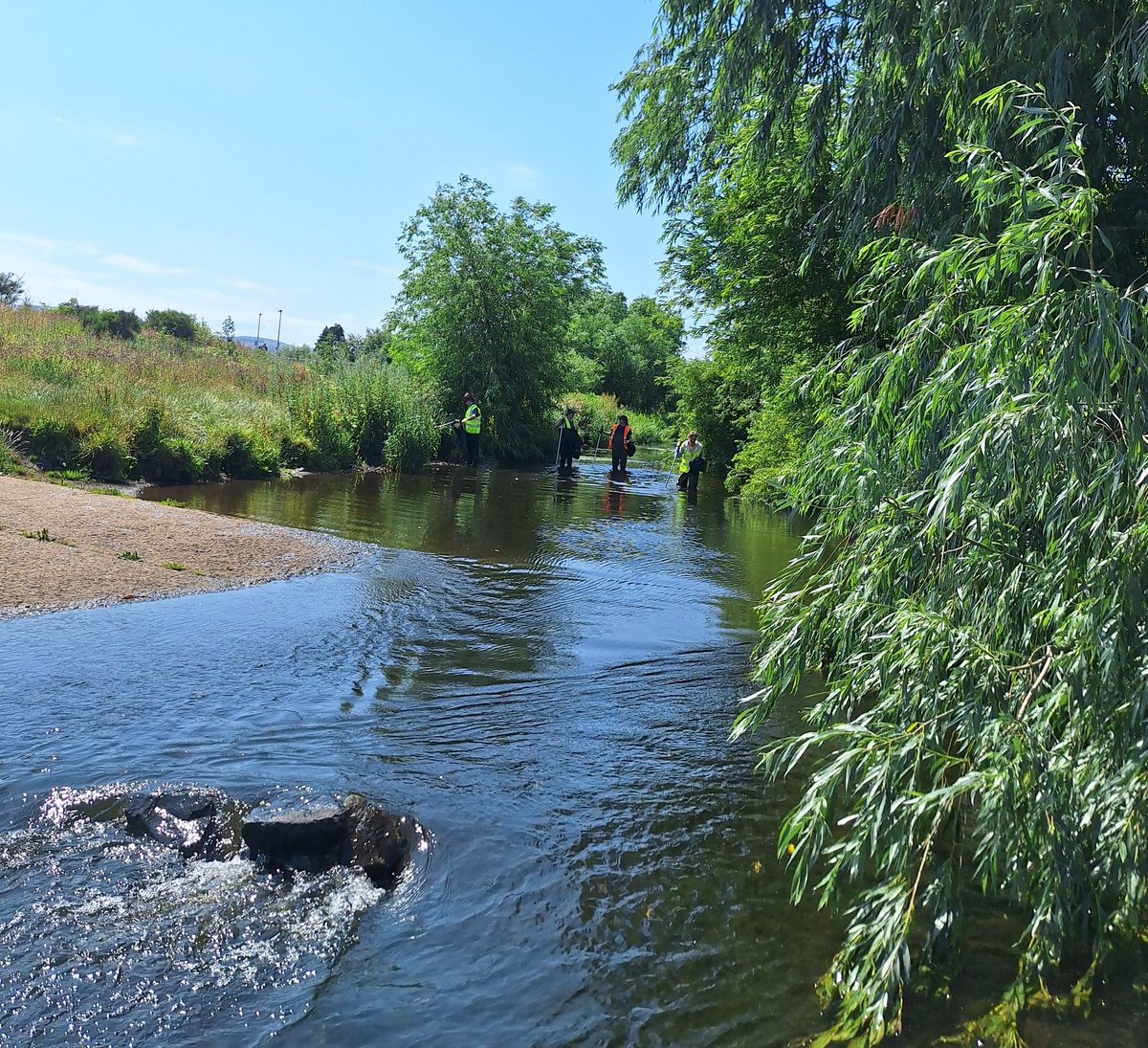 Water of Leith Conservation Trust tweet media