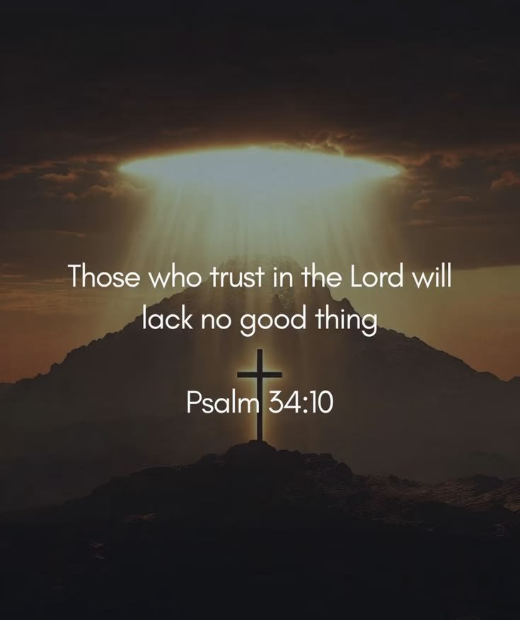 John_Matthew_T's tweet photo. Psalm 34:10 https://t.co/p5yaRgmxQg