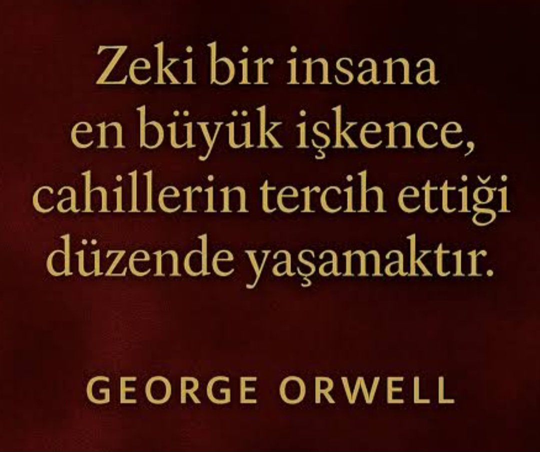 Nexus2030ch's tweet photo. @gelen_uzak25040 https://t.co/ipuIcGeO7g