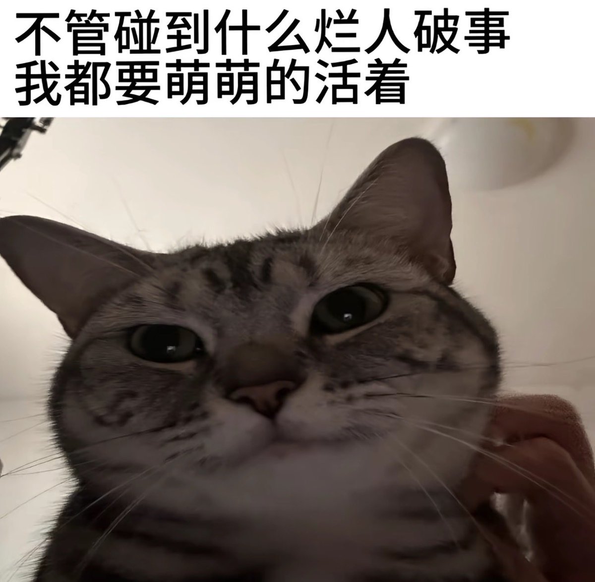 paopao7015's tweet photo. https://t.co/XuFTDTeufY