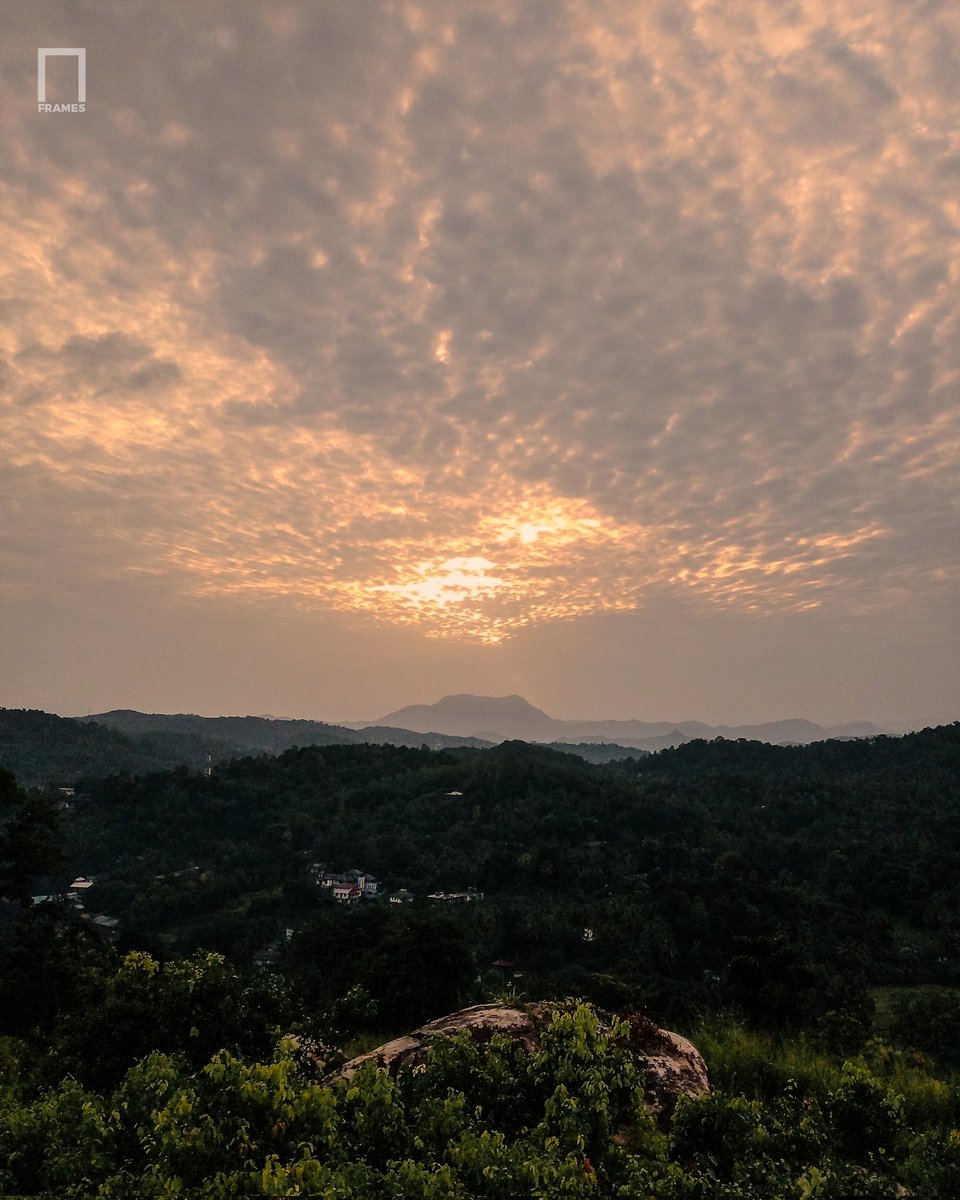 FramesMediaX's tweet photo. This is why I always stop for sunsets.👀

#SunsetPhotography #SunsetLovers #ExploreTheWorld #Cloudscape #SriLankaTravel #VisitSriLanka #TravelAsia #IslandLife https://t.co/PUNAqykejD