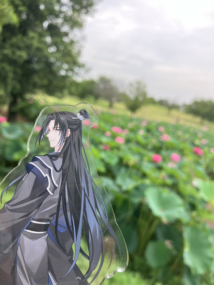hanpen_sth's tweet photo. #宋嵐探し物の旅
古代蓮綺麗だったね🪷 https://t.co/ynREMJVATU