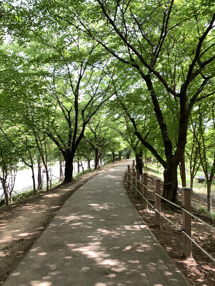 RA_2222222's tweet photo. 부천 완전 좋은 동네잔하· 𓆇 ₊ 𓂃 ⊹  *  ﾟ𓂃 𓂂𓏸 https://t.co/9AKVPzozbN