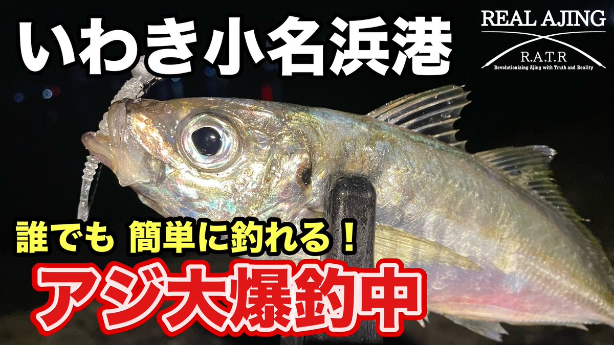1chigyo_1chie's tweet photo. 🔴YouTube
【いわき小名浜港】
アジ大爆釣中！誰でも簡単に釣れる！
アジングの基本の釣り方とアクション！

https://t.co/m3gNwhtGp8 @YouTubeより

#アジング初心者
#アジングワーム
#ジグヘッド
#ミザール https://t.co/yEvvICuW8y