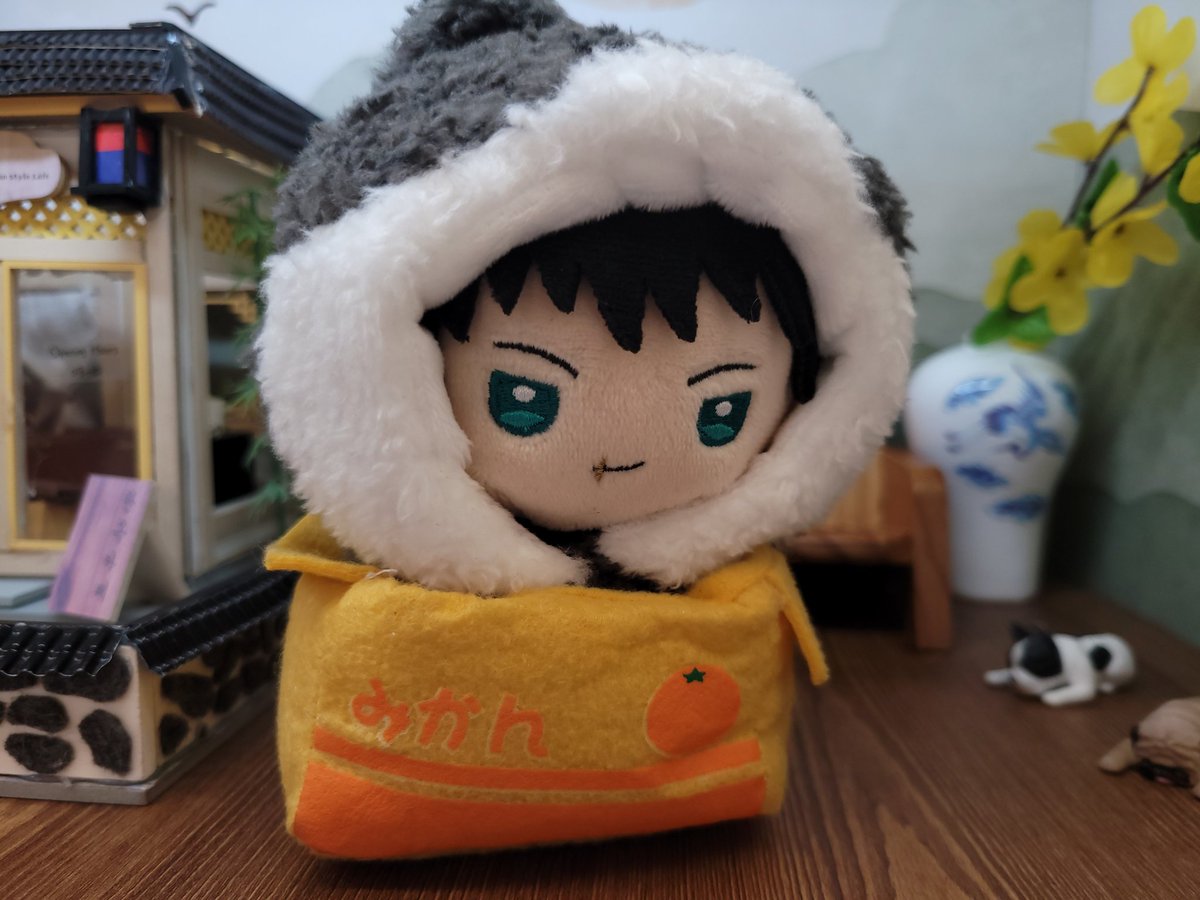 dam_budel's tweet photo. 귤상자와 늑대 https://t.co/akqzGPF7Sf