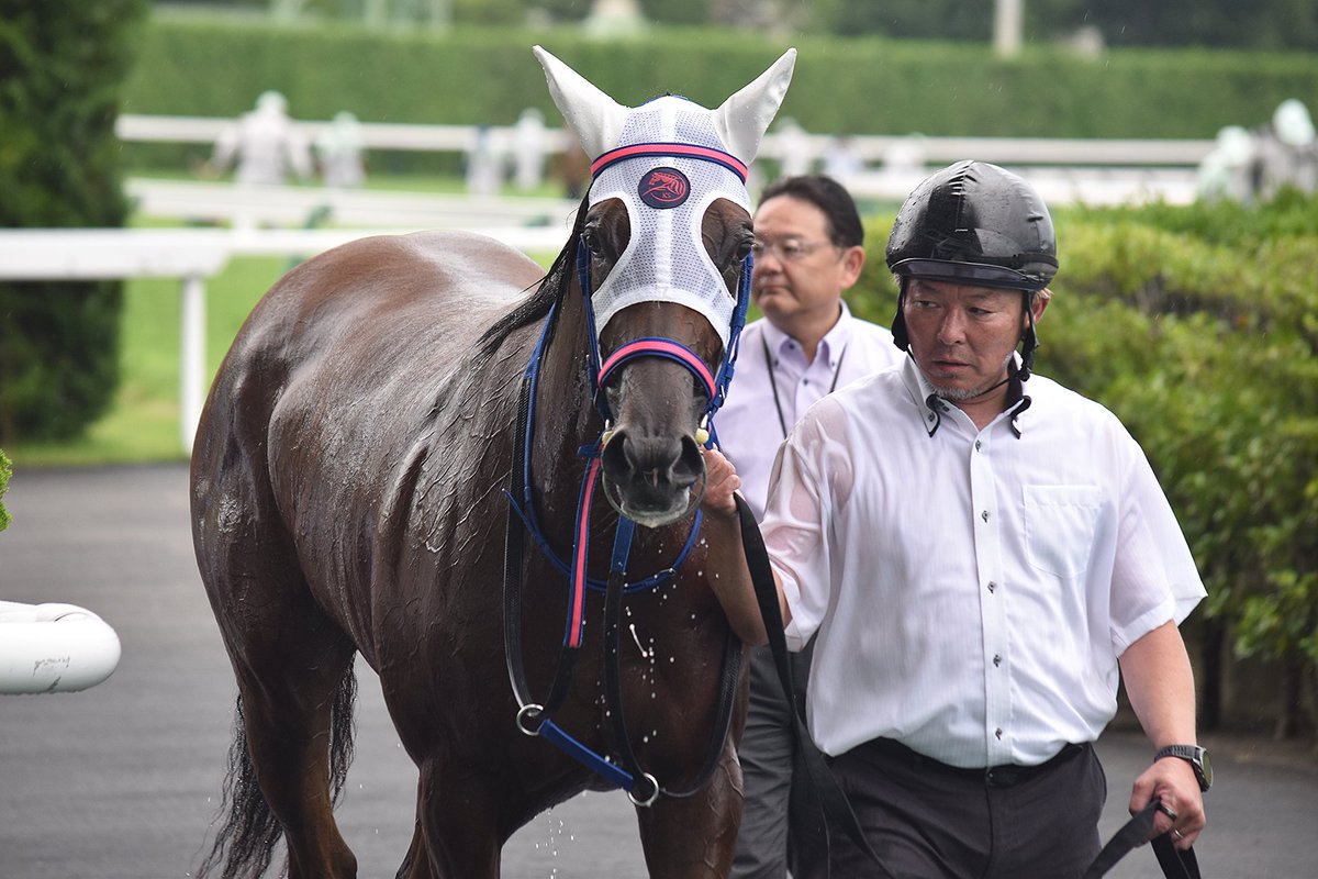 uma_uma_cha's tweet photo. 2026/7/12  福島4R

ラヴィサンエール

小手川厩舎約2カ月ぶりの勝利は新馬勝ち🥇
深道くんが積極的に乗ってくれて2馬身差つけての勝利👍
可愛いリボンもつけてもらって嬉しいねぇ🎀

#小手川準厩舎 
#ラヴィサンエール 
#石神深道 https://t.co/ibbcRvWeuD