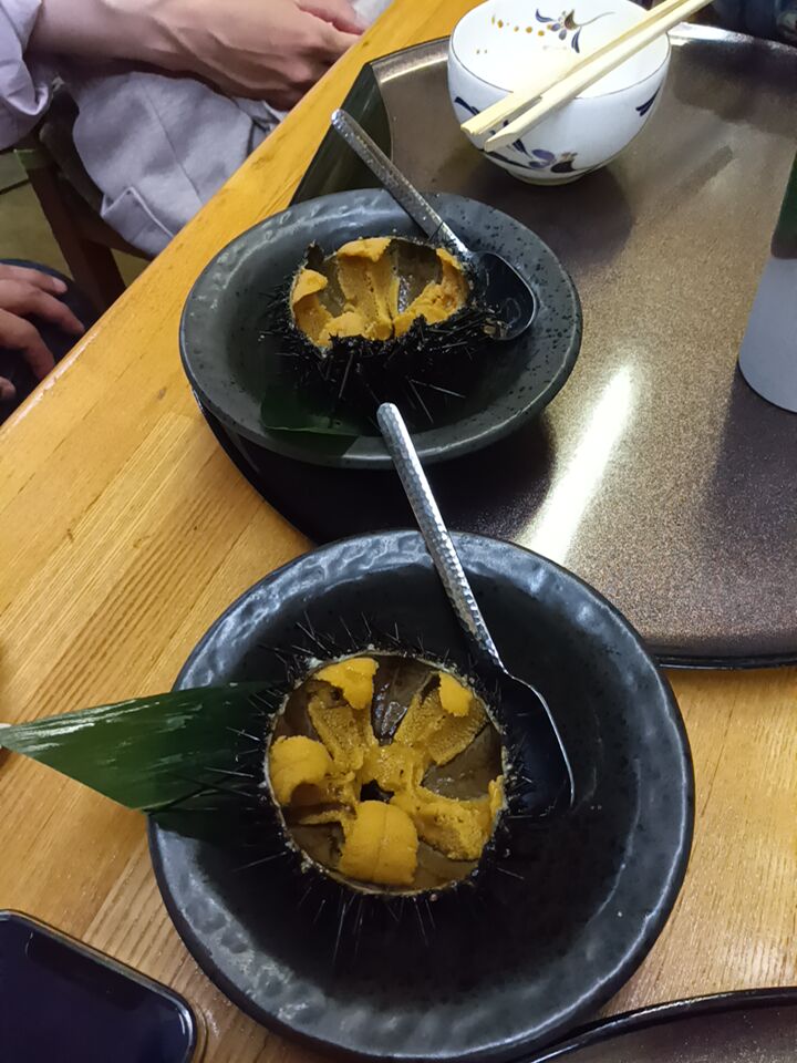 meshibekun's tweet photo. のんでけしでクジラとかウニとか https://t.co/Wcge5v1uET
