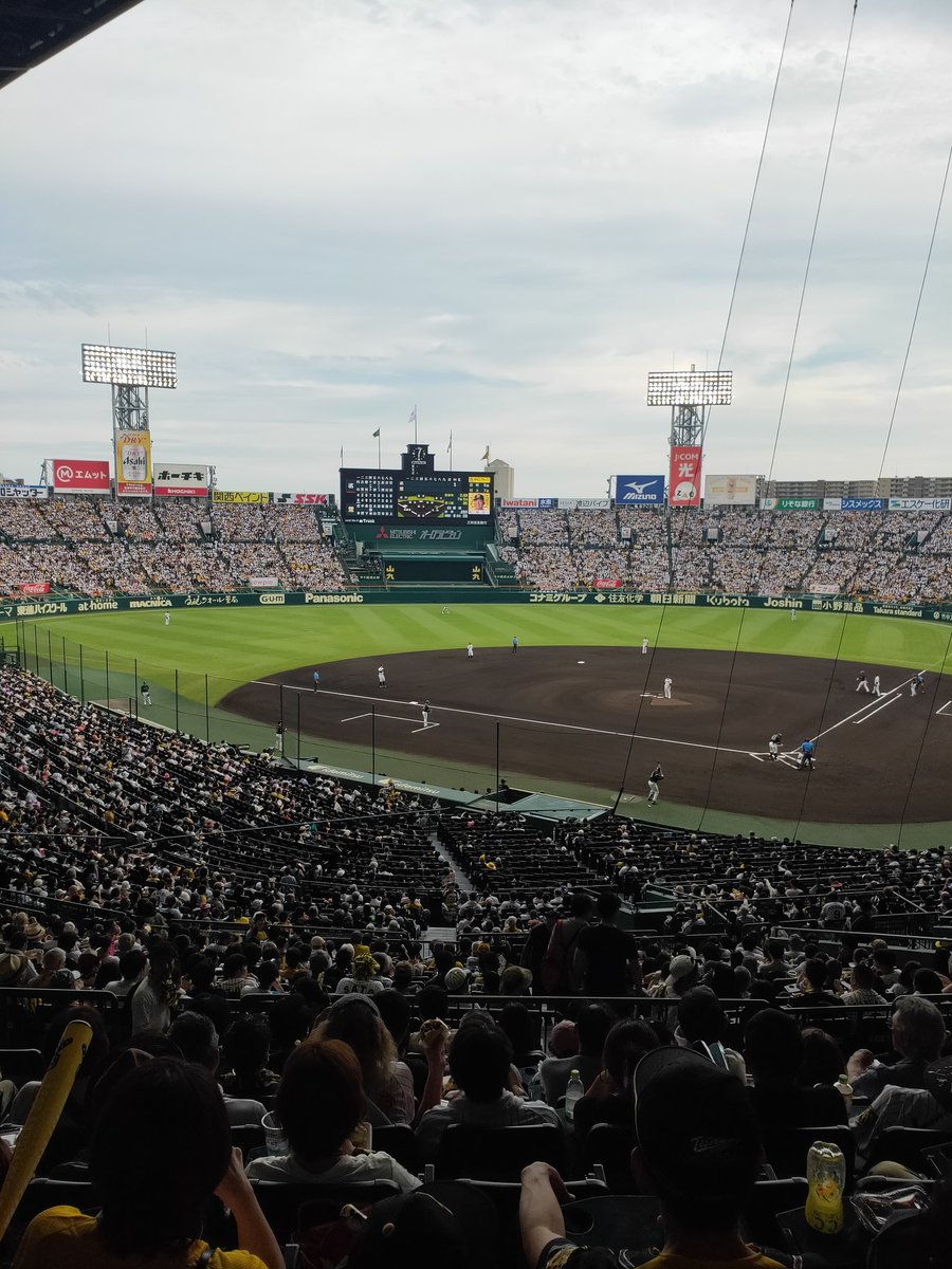 mafmafevolinu's tweet photo. 今日も甲子園 https://t.co/bv5t3gWPsL