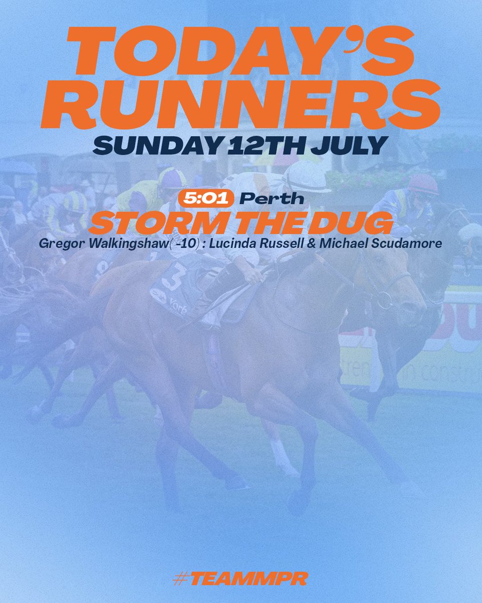 MprUpdates's tweet photo. We round off the week over jumps as STORM THE DUG lines up at @PerthRacecourse. Good luck! #TeamMPR https://t.co/yuof2ZGihO