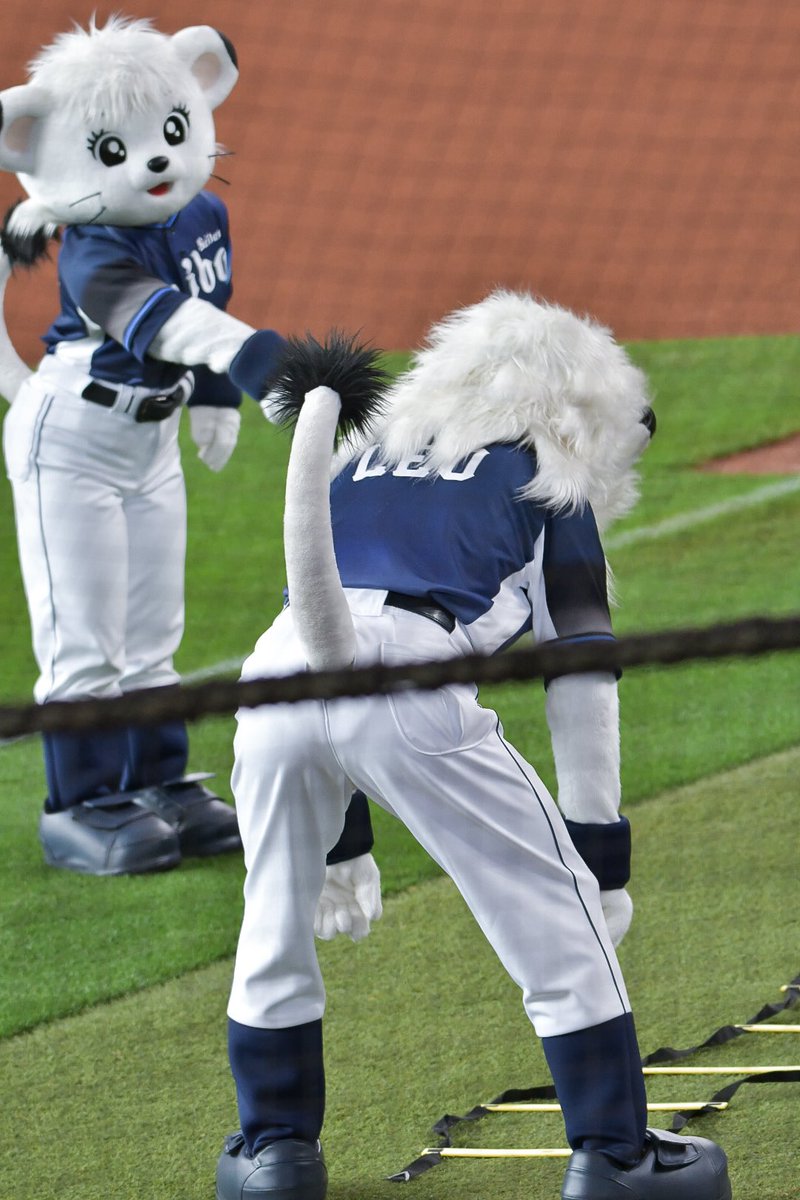 nimo_2268's tweet photo. ライナ先生からラダーの指導が入るレオ選手

260712 #seibulions #レオかっこいい #ライナかわいい https://t.co/atuQ4MNbbU