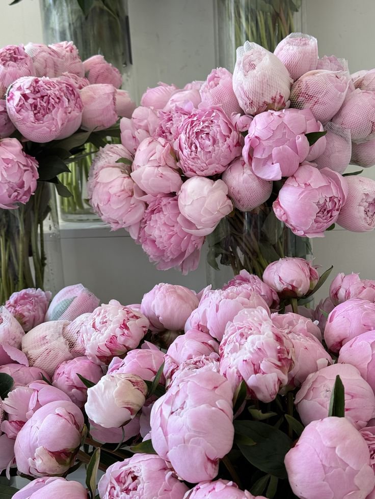 Shahmeerfbh's tweet photo. Peonies https://t.co/JwGU5GUkhB