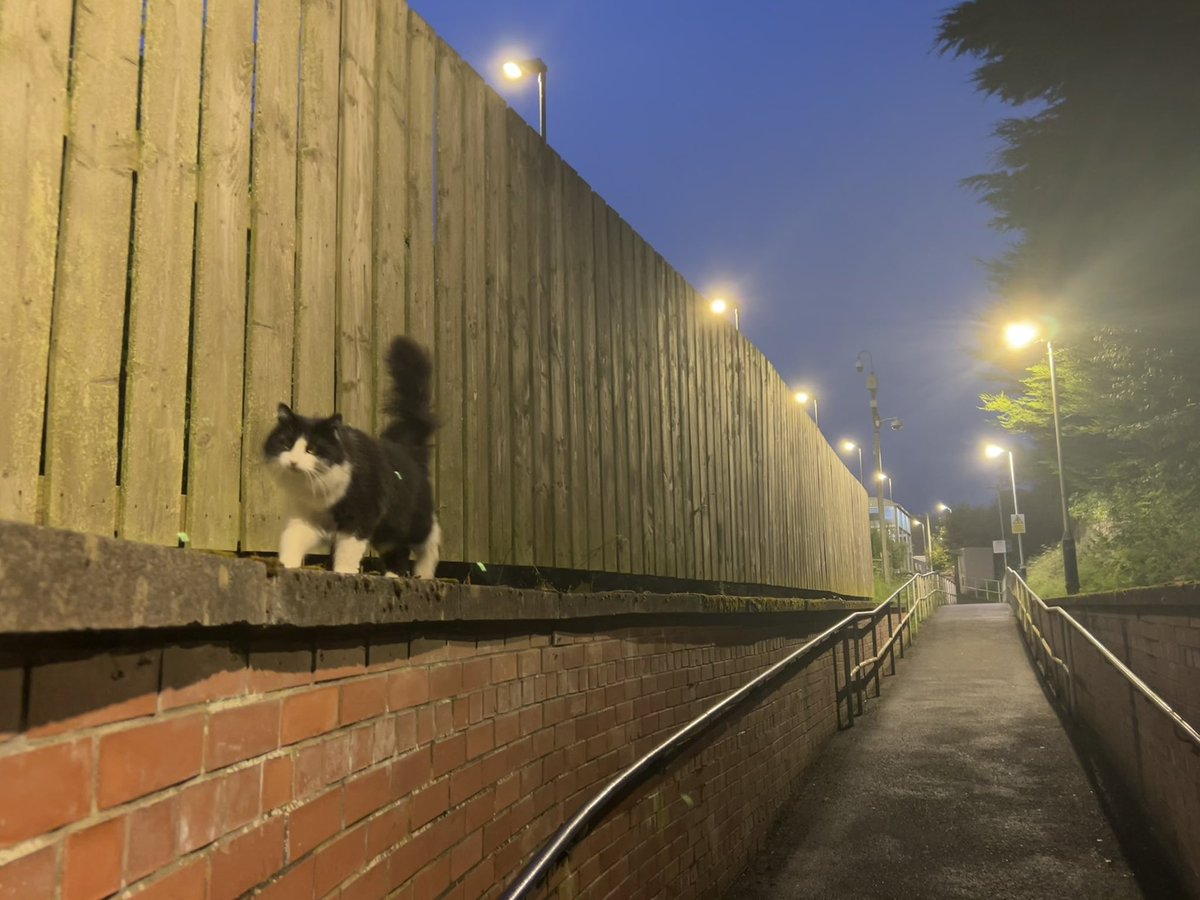 utterclaptrap's tweet photo. she picked me up, walked me 2 the platform, waited w me for the train then watched me board. ily https://t.co/sgkhnwkKMr