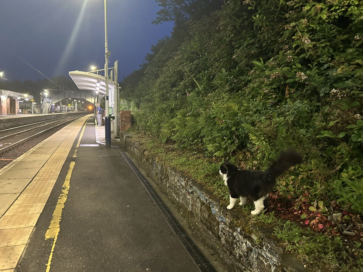 utterclaptrap's tweet photo. she picked me up, walked me 2 the platform, waited w me for the train then watched me board. ily https://t.co/sgkhnwkKMr