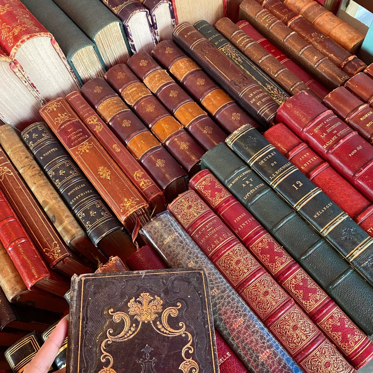 ・˳ . ⋆ 𝖓𝖎𝖓𝖎 (🇫🇷) tweet media