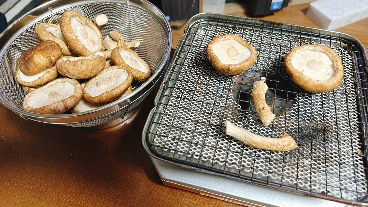 viscometer's tweet photo. 今夜はしいたけ🍄‍🟫焼いて晩酌や🍺🥺
日曜は早めに夕飯を食べて早く寝るに限る🥺 https://t.co/KZ1CG7Ngei