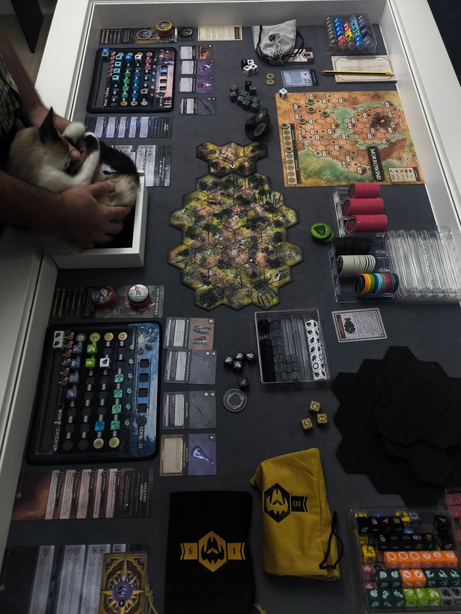 mesasparajuegos's tweet photo. The Elder Scrolls board game @ChipTheoryGames. 
#skyrim #boardgames #coopgames https://t.co/ULFe5o8FbM