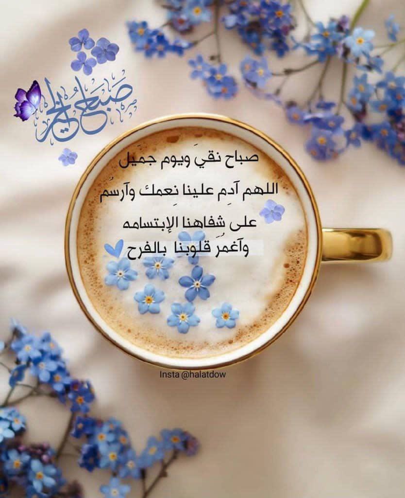 Maryamalmush's tweet photo. صباح الخير لكل بُقاع العالم 
لكل مكان قد ذبل  لكُل وجـه حزين 
لـكل خاطر مُنكسر ولكُل نفس مُتعبة 
اتمنى ان يكون صباحكم خير فعلاً . https://t.co/sZ0H8p68r6