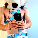 Photo by Kingpaws (@KingpawsAD)