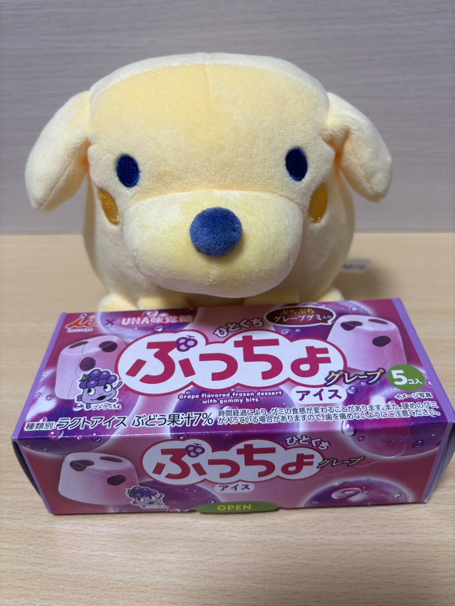 itachi_dog's tweet photo. でかポチっち、ぷっちょアイスだよ https://t.co/Nq3ZuwjTlU