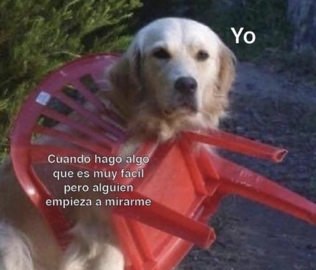 navarro tweet media