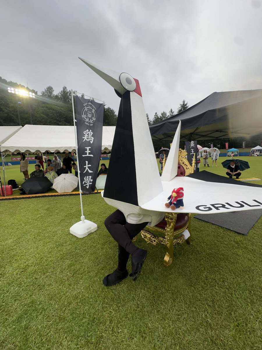 IwateGrulla's tweet photo. 鶏王(けいおう)大学、入学。

#チキソニ #キングオブチキン 
#いわてグルージャ盛岡 #grulla https://t.co/S1DVkQBMDb