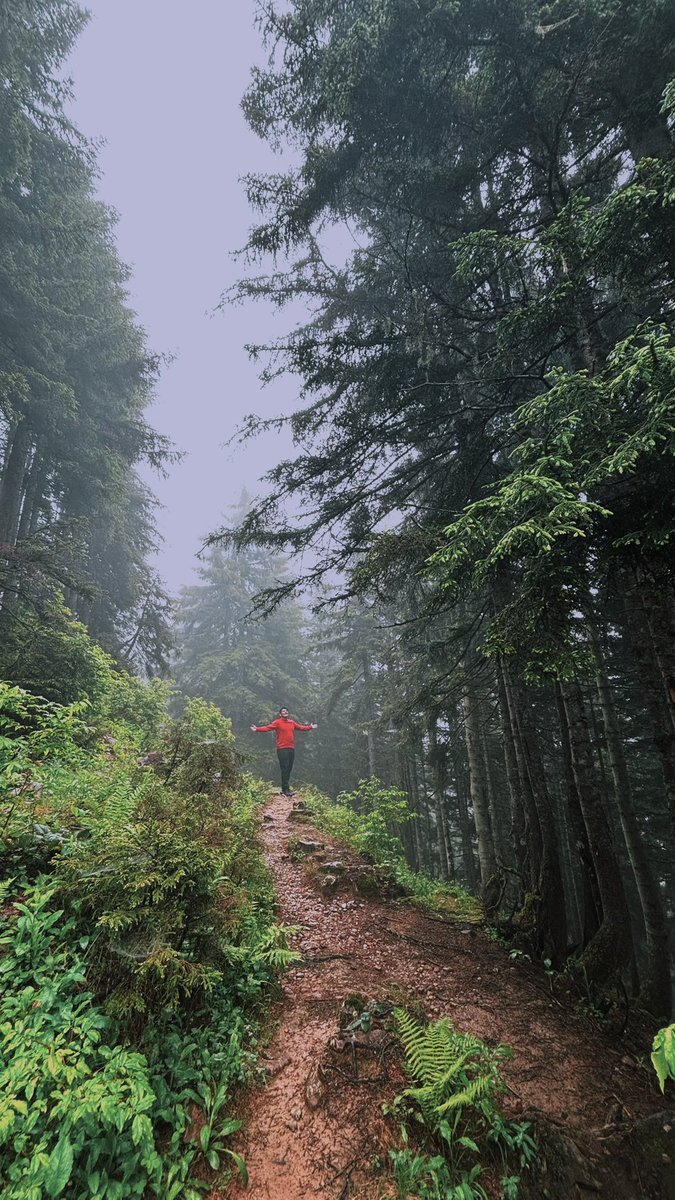 _itstheos's tweet photo. pokut’um sisli https://t.co/nlYpiwtpbK