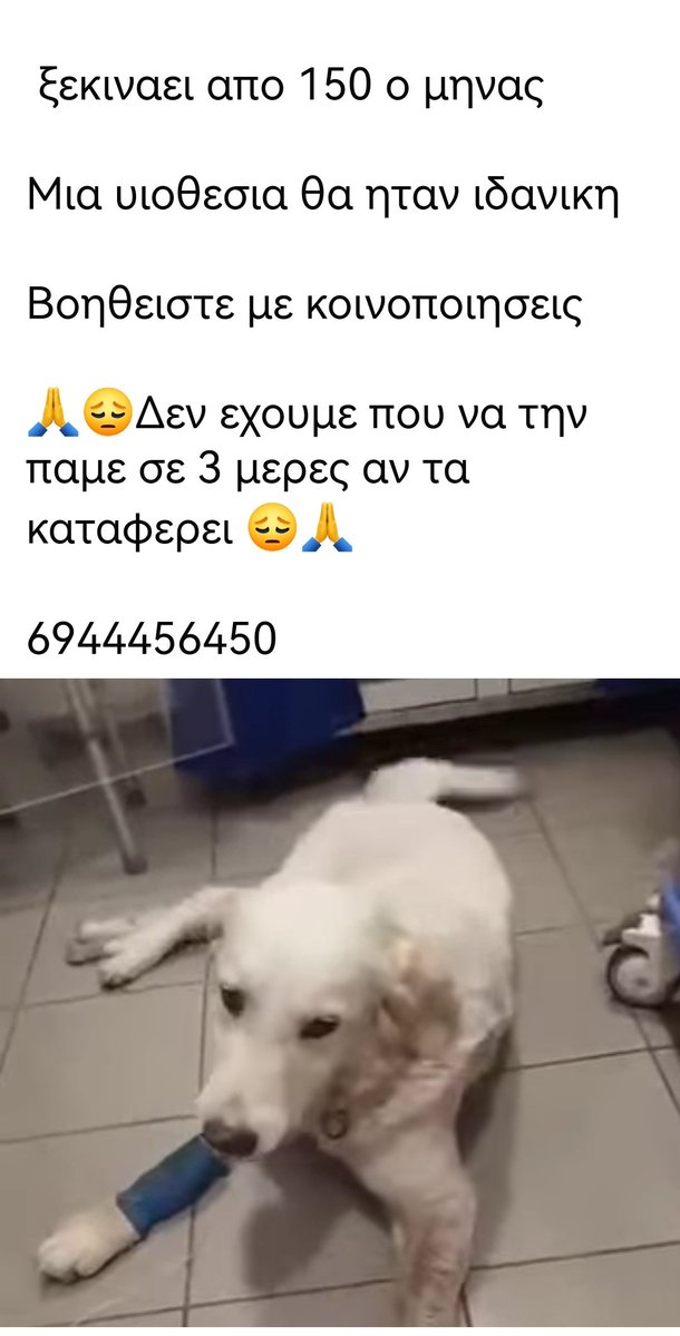 Christinalirou2's tweet photo. 🆘‼️🆘‼️🆘‼️🆘‼️🆘‼️🆘‼️🆘‼️🆘‼️
Έκκληση των εθελοντών για βοήθεια. Κοινοποιούμε παιδιά μήπως βρεθεί οικογένεια που θα το αγκαλιάσει κ θα περάσει την ζωούλα του μαζί τους. 🏡🐕✌️ https://t.co/TBsvSHbh3w