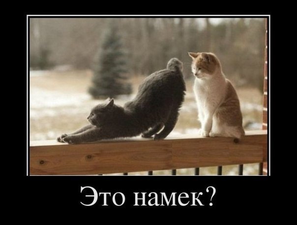 gagara48 tweet picture