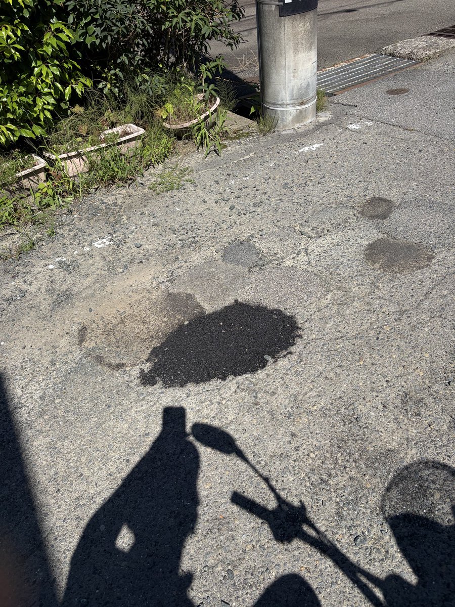 emo4815's tweet photo. 本日、公明新聞に掲載されました。内視鏡では“がん”が疑われたら、その病変の組織を一部採取（生検）して、病理診断（顕微鏡診断）によって“がん”かどうかの確定診断をつけることができます。早期の発見、早期の治療を‼️↓
https://t.co/eHPycuLzf3
2箇所の修繕。お声と共に修繕の方感謝です🙇‍♂️ https://t.co/ERjcZJqmhZ